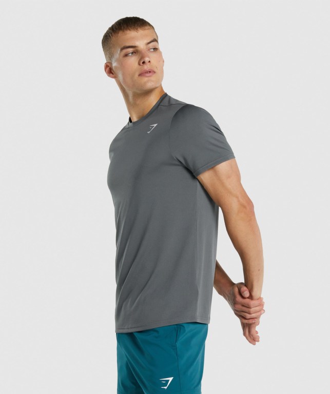 Gymshark Arrival Regular Fit Tişört Erkek Gri | 263-UMIKJR