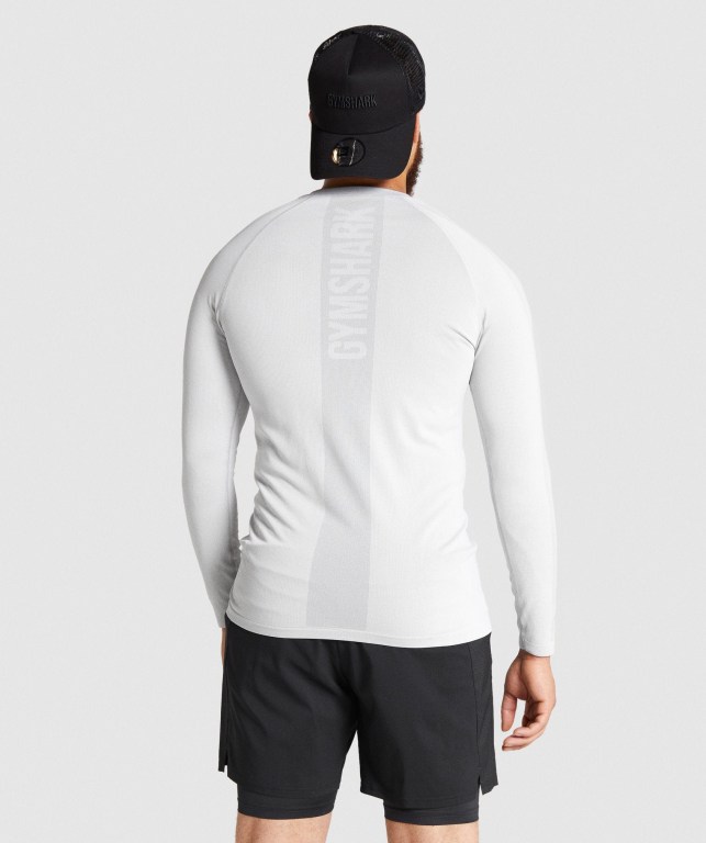 Gymshark Aspect Hafif Seamless Tişört Erkek Açık Gri | 698-VYLOFU