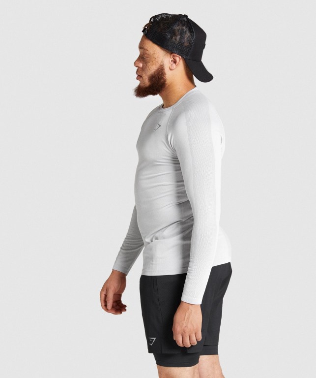 Gymshark Aspect Hafif Seamless Tişört Erkek Açık Gri | 698-VYLOFU