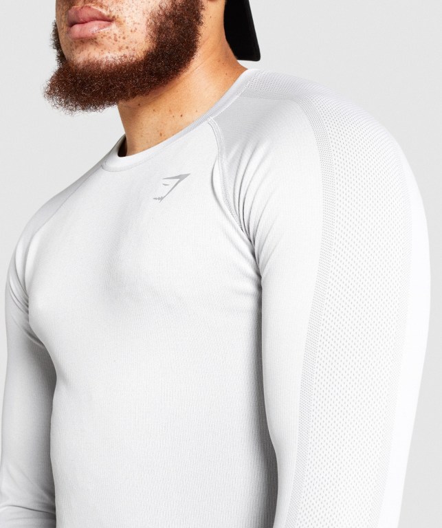 Gymshark Aspect Hafif Seamless Tişört Erkek Açık Gri | 698-VYLOFU