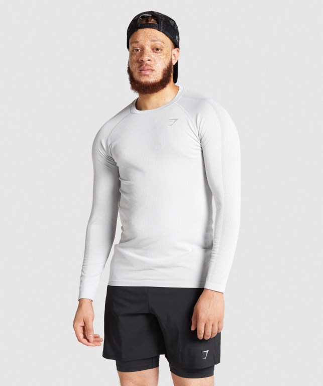 Gymshark Aspect Hafif Seamless Tişört Erkek Açık Gri | 698-VYLOFU