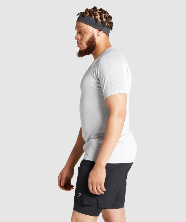 Gymshark Aspect Hafif Seamless Tişört Erkek Açık Gri | 942-HYCILF