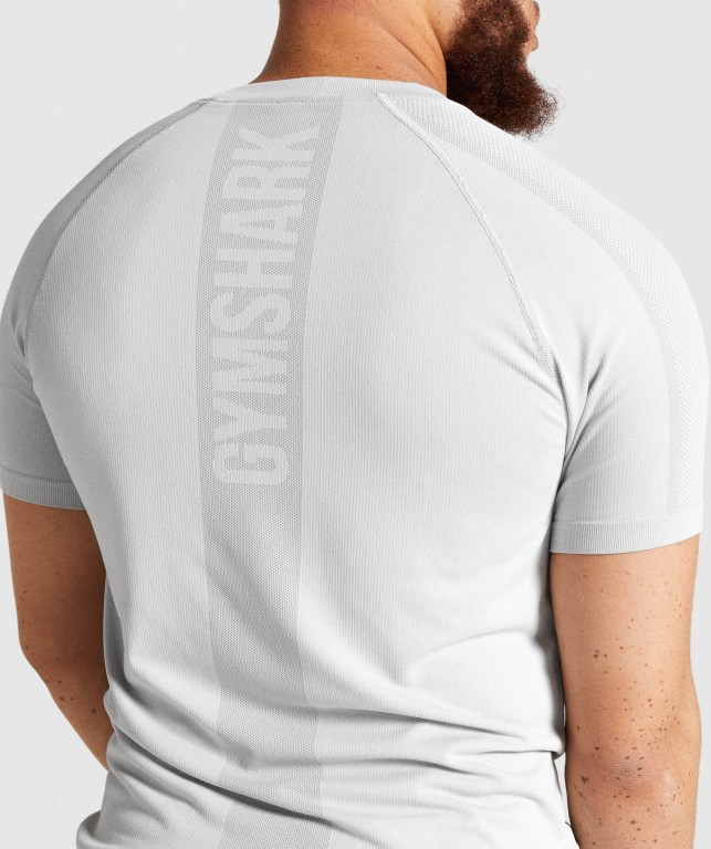 Gymshark Aspect Hafif Seamless Tişört Erkek Açık Gri | 942-HYCILF