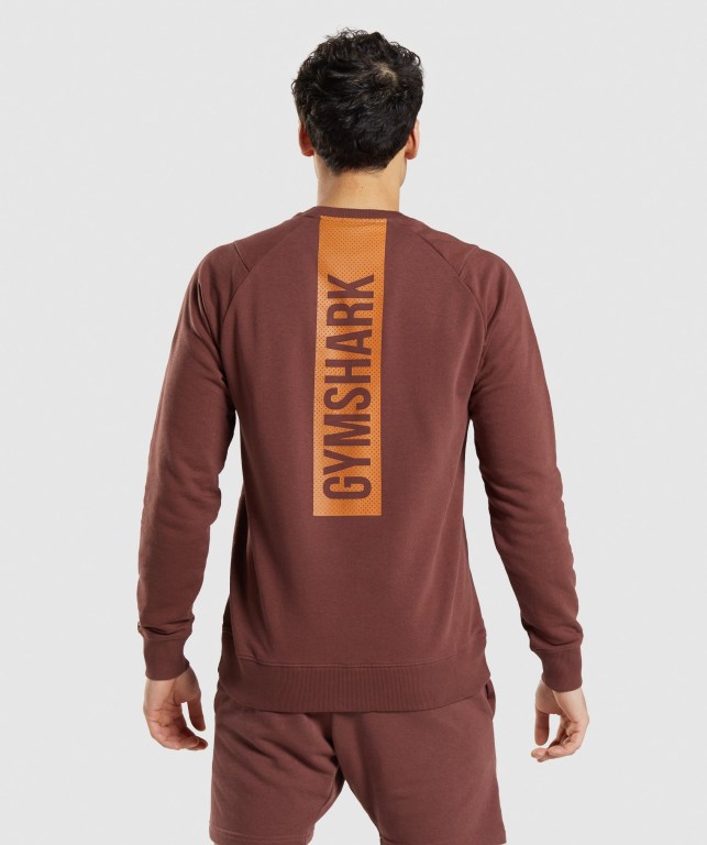 Gymshark Bold Crew Kapüşonlu Sweatshirt Erkek Pembe Kahverengi | 342-HMVQSR