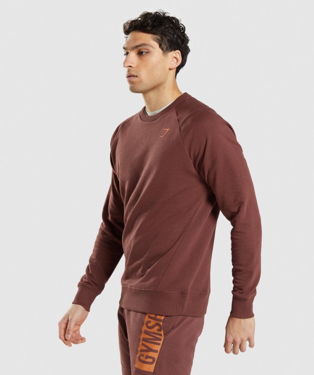 Gymshark Bold Crew Kapüşonlu Sweatshirt Erkek Pembe Kahverengi | 342-HMVQSR