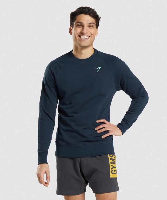 Gymshark Bold Crew Kapüşonlu Sweatshirt Erkek Lacivert | 437-QURVCT