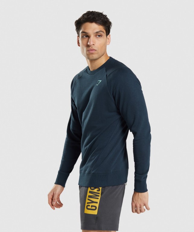 Gymshark Bold Crew Kapüşonlu Sweatshirt Erkek Lacivert | 437-QURVCT