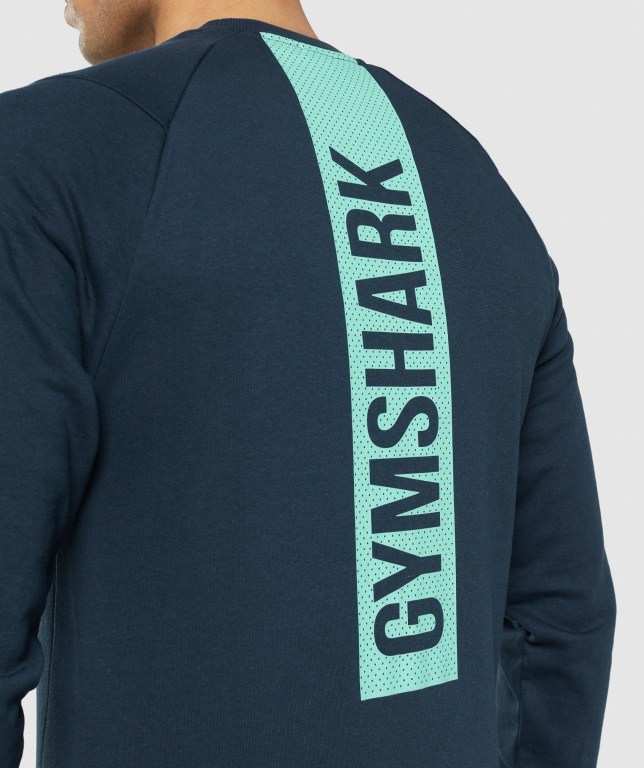 Gymshark Bold Crew Kapüşonlu Sweatshirt Erkek Lacivert | 437-QURVCT