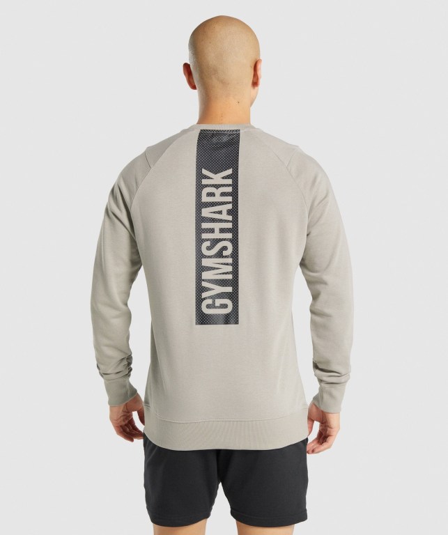 Gymshark Bold Crew Kapüşonlu Sweatshirt Erkek Gri | 836-UBQCYD