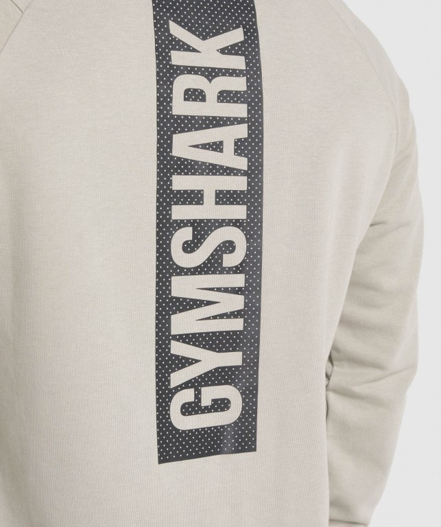 Gymshark Bold Crew Kapüşonlu Sweatshirt Erkek Gri | 836-UBQCYD