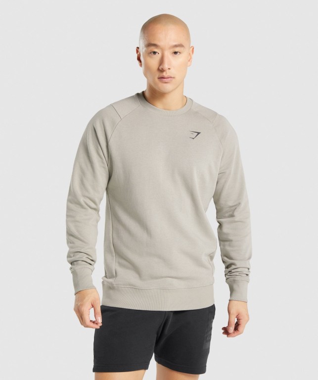 Gymshark Bold Crew Kapüşonlu Sweatshirt Erkek Gri | 836-UBQCYD