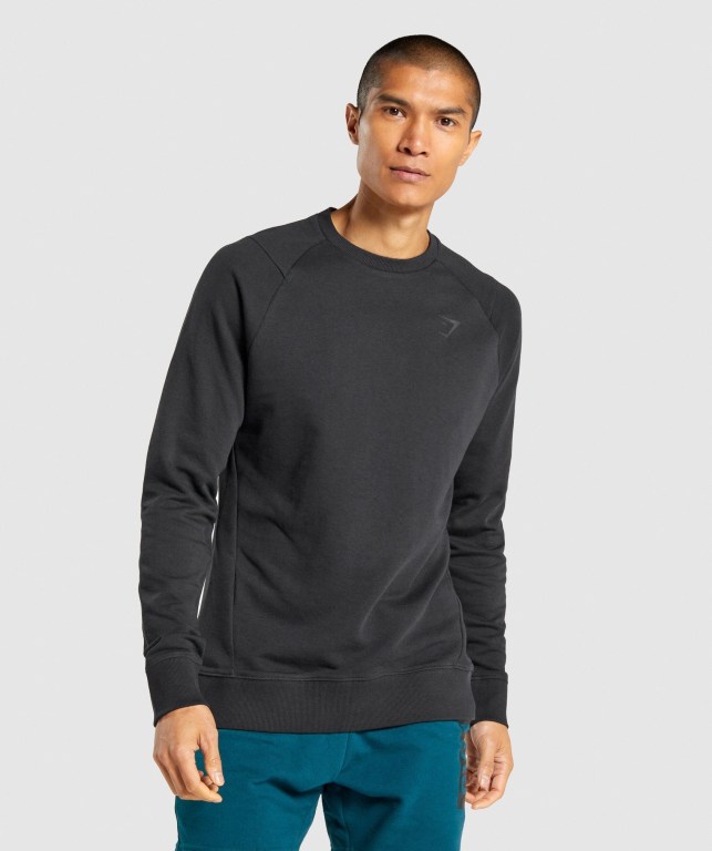 Gymshark Bold Crew Kapüşonlu Sweatshirt Erkek Siyah | 975-BJYQPL