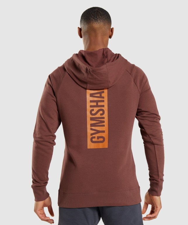 Gymshark Bold Kapüşonlu Sweatshirt Erkek Pembe Kahverengi | 820-LFDQEY