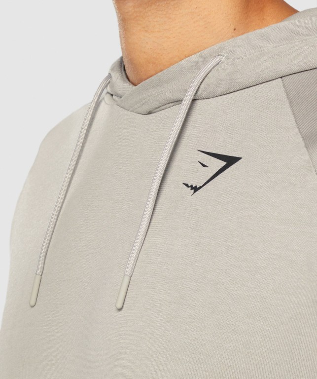 Gymshark Bold Kapüşonlu Sweatshirt Erkek Gri | 928-AKFJGL