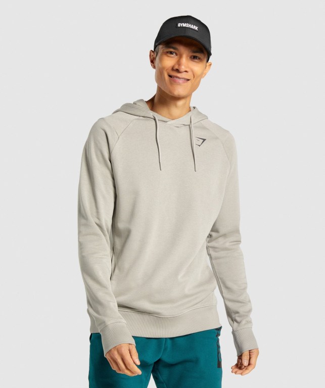 Gymshark Bold Kapüşonlu Sweatshirt Erkek Gri | 928-AKFJGL