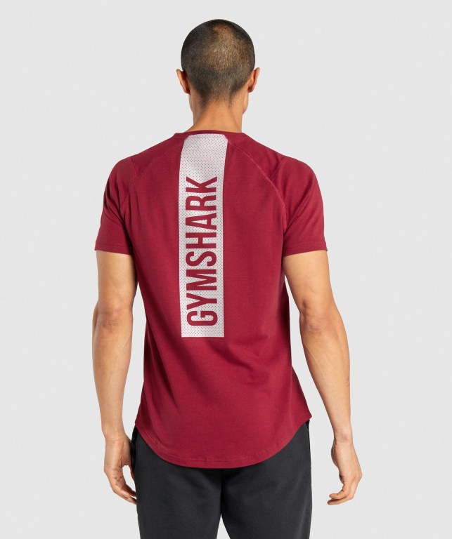 Gymshark Bold Tişört Erkek Bordo | 578-GWQNLV