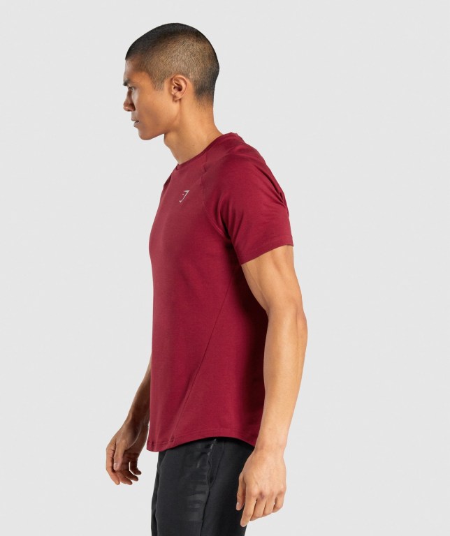 Gymshark Bold Tişört Erkek Bordo | 578-GWQNLV