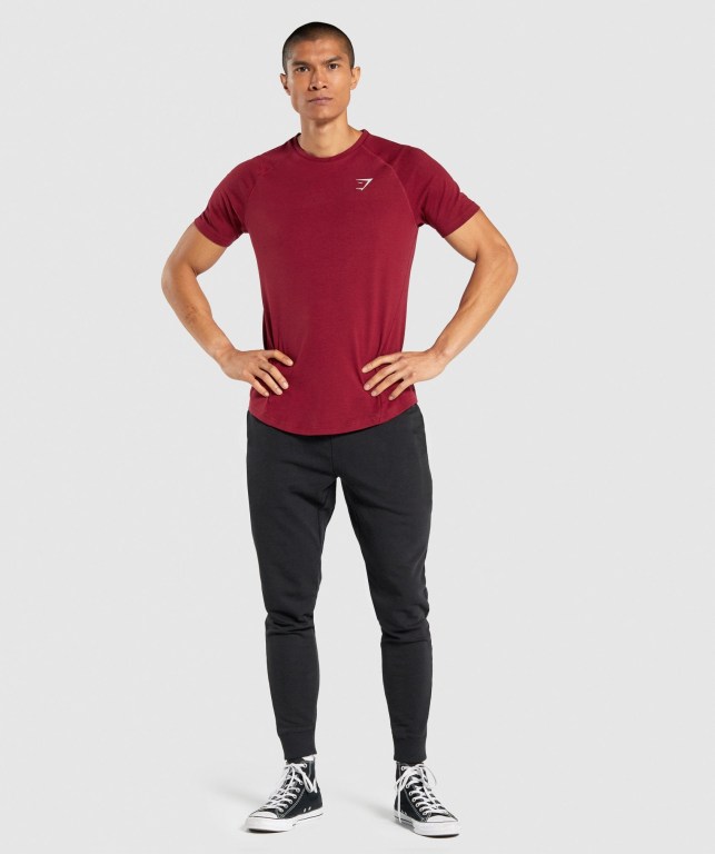 Gymshark Bold Tişört Erkek Bordo | 578-GWQNLV