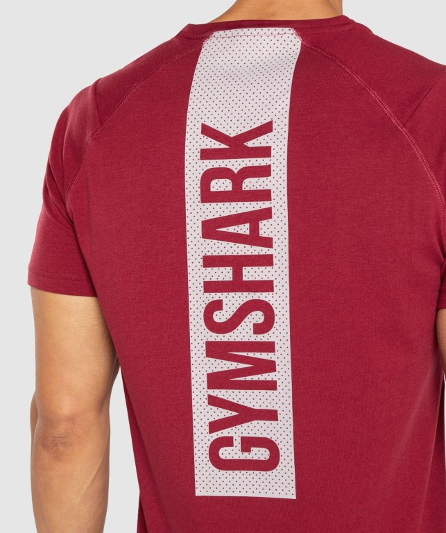 Gymshark Bold Tişört Erkek Bordo | 578-GWQNLV