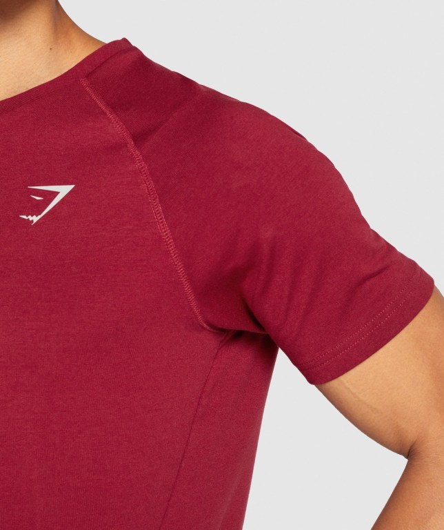 Gymshark Bold Tişört Erkek Bordo | 578-GWQNLV