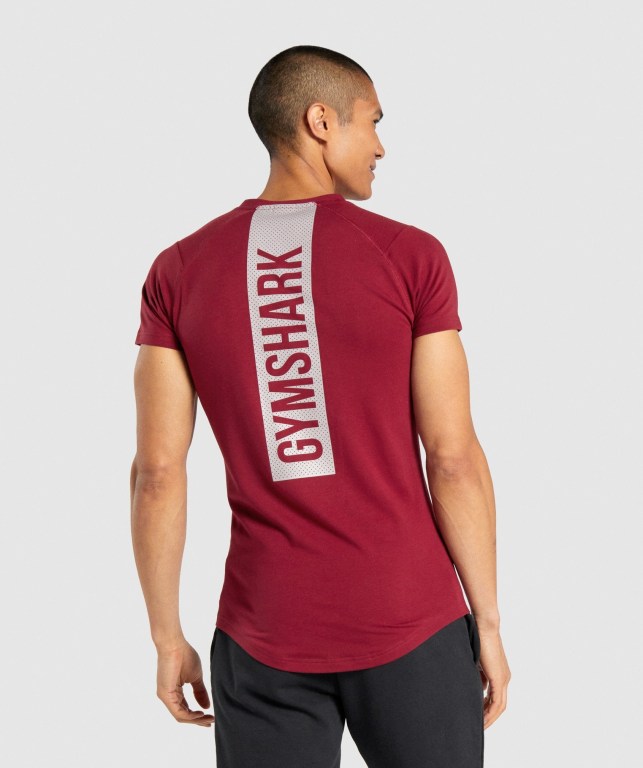 Gymshark Bold Tişört Erkek Bordo | 715-AXTPJF