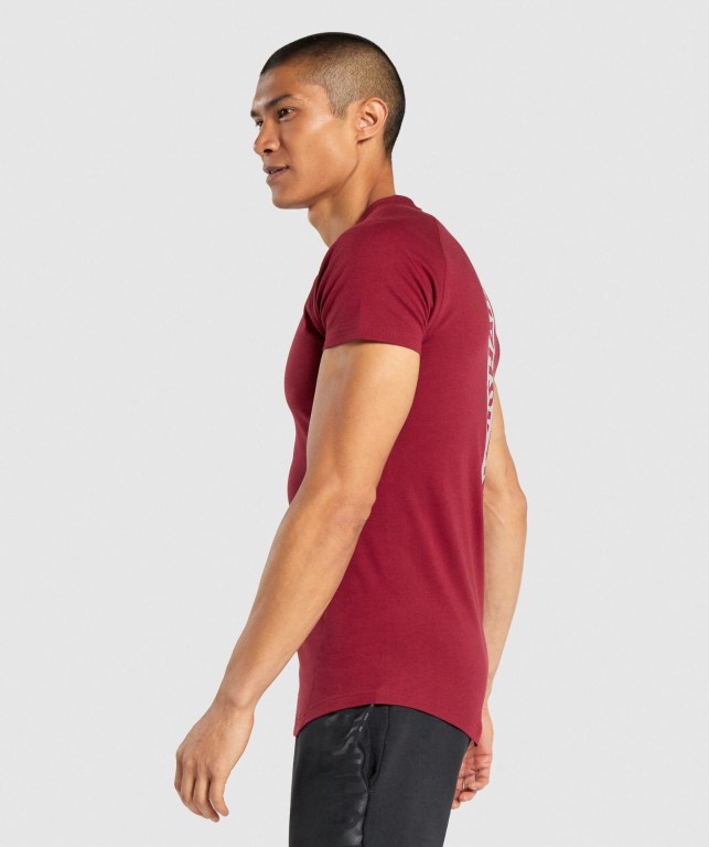 Gymshark Bold Tişört Erkek Bordo | 715-AXTPJF