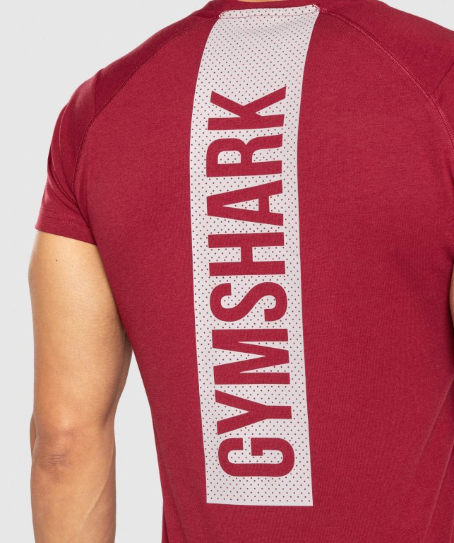 Gymshark Bold Tişört Erkek Bordo | 715-AXTPJF