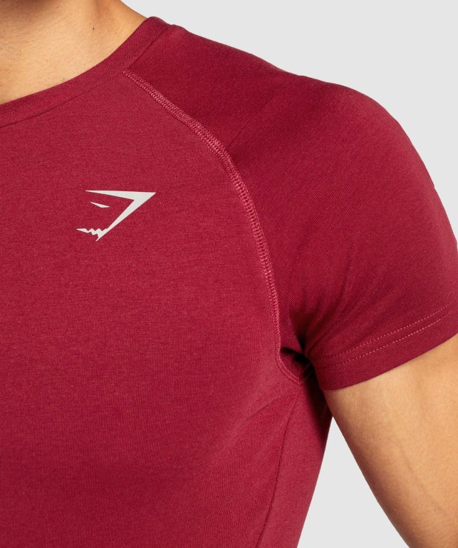 Gymshark Bold Tişört Erkek Bordo | 715-AXTPJF