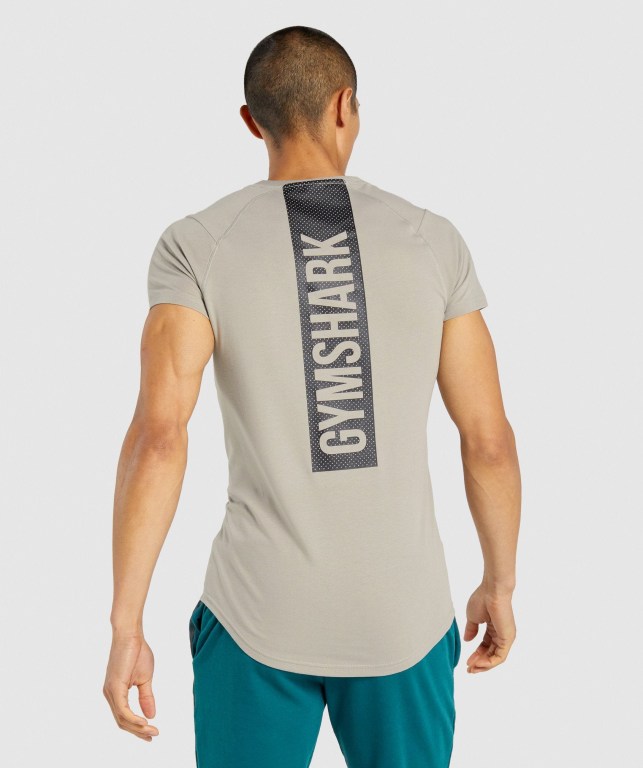 Gymshark Bold Tişört Erkek Gri | 921-KTBJSF