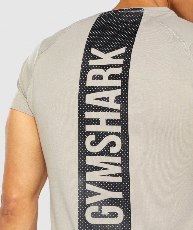 Gymshark Bold Tişört Erkek Gri | 921-KTBJSF