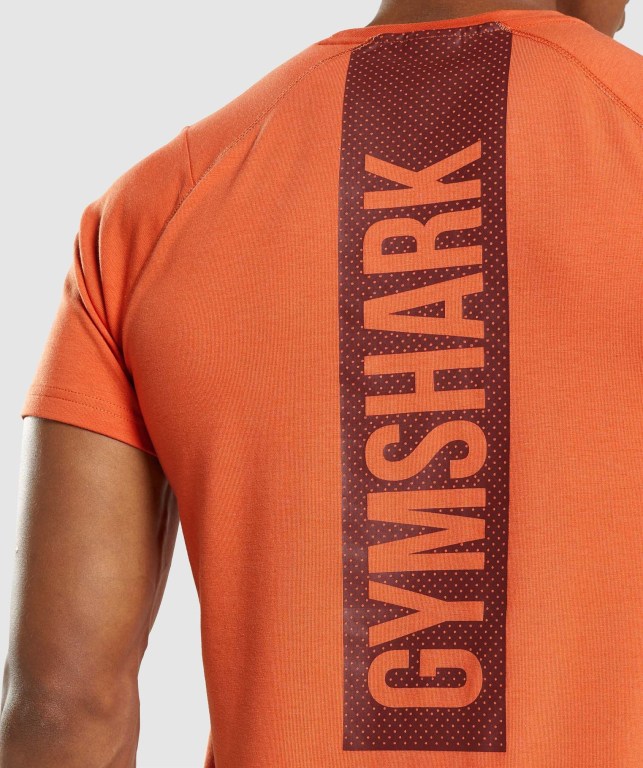 Gymshark Bold Tişört Erkek Turuncu | 096-PYZSRA