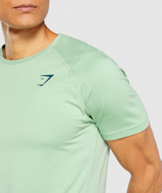 Gymshark Bold Tişört Erkek Yeşil | 981-NYUBZH