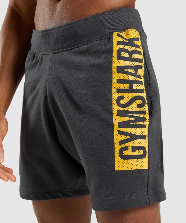 Gymshark Bold Şort Erkek Siyah Gri | 452-YQVKUE