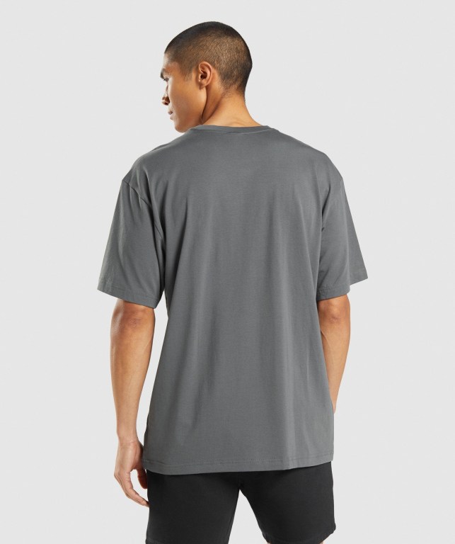 Gymshark Central Oversized Tişört Erkek Gri | 538-MTFVOY