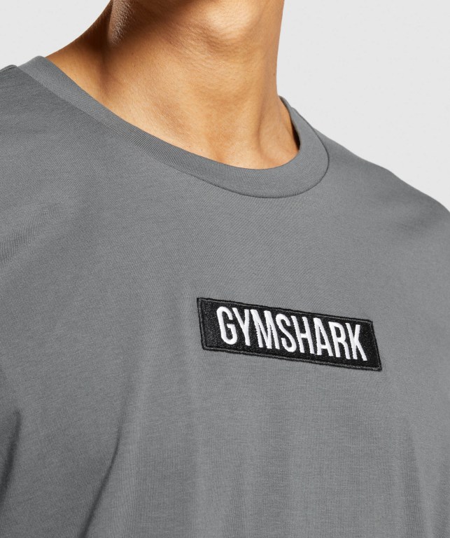 Gymshark Central Oversized Tişört Erkek Gri | 538-MTFVOY