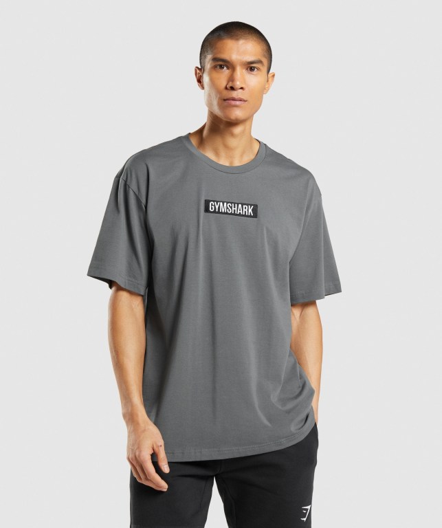 Gymshark Central Oversized Tişört Erkek Gri | 538-MTFVOY