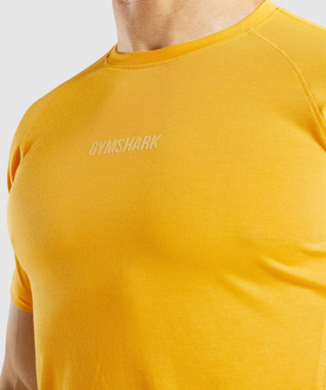 Gymshark Chalk Tişört Erkek Sarı | 061-CVNTLY