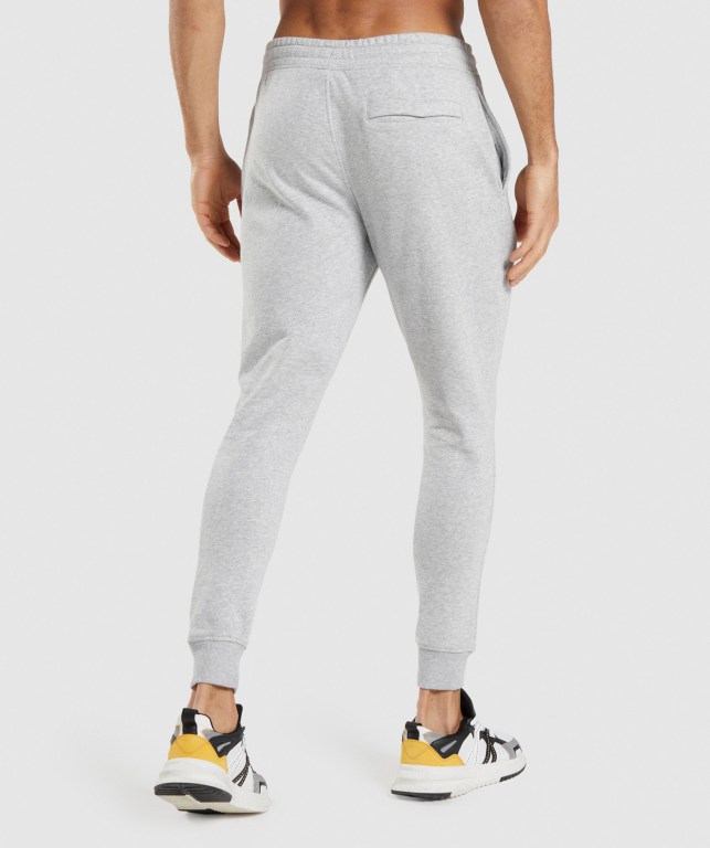 Gymshark Crest Jogger Pantolon Erkek Açık Gri | 127-OBVUHX