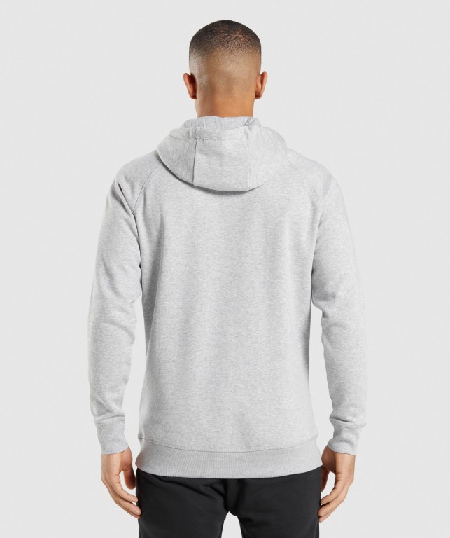 Gymshark Crest Kapüşonlu Sweatshirt Erkek Açık Gri | 403-XFJKOH