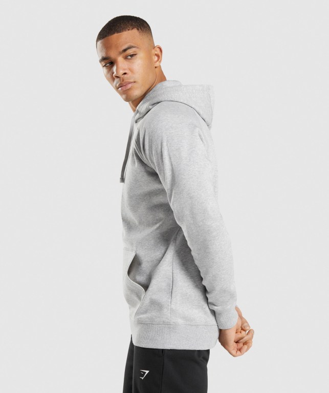 Gymshark Crest Kapüşonlu Sweatshirt Erkek Açık Gri | 403-XFJKOH