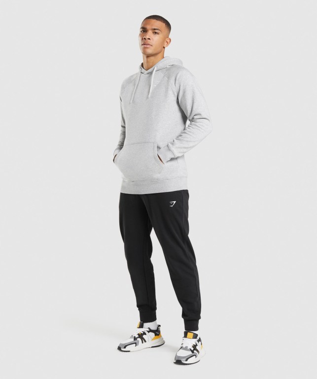 Gymshark Crest Kapüşonlu Sweatshirt Erkek Açık Gri | 403-XFJKOH