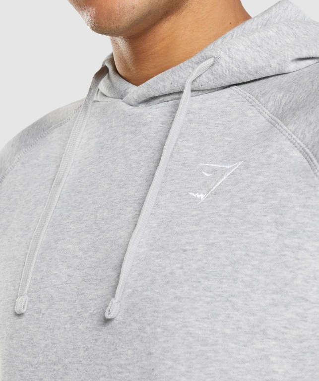 Gymshark Crest Kapüşonlu Sweatshirt Erkek Açık Gri | 403-XFJKOH