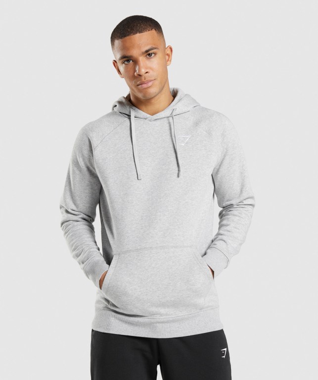 Gymshark Crest Kapüşonlu Sweatshirt Erkek Açık Gri | 403-XFJKOH