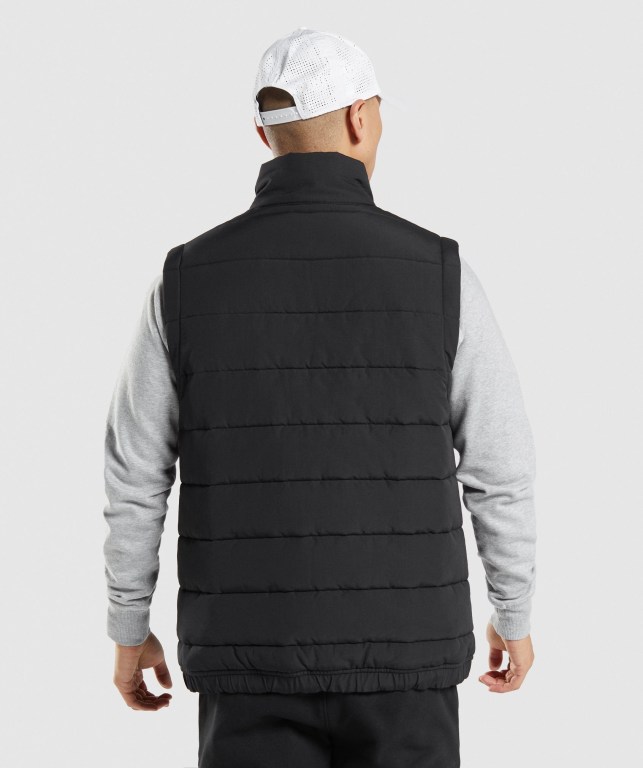 Gymshark Crest Puffer Vest Ceket Erkek Siyah | 013-ESDHQR