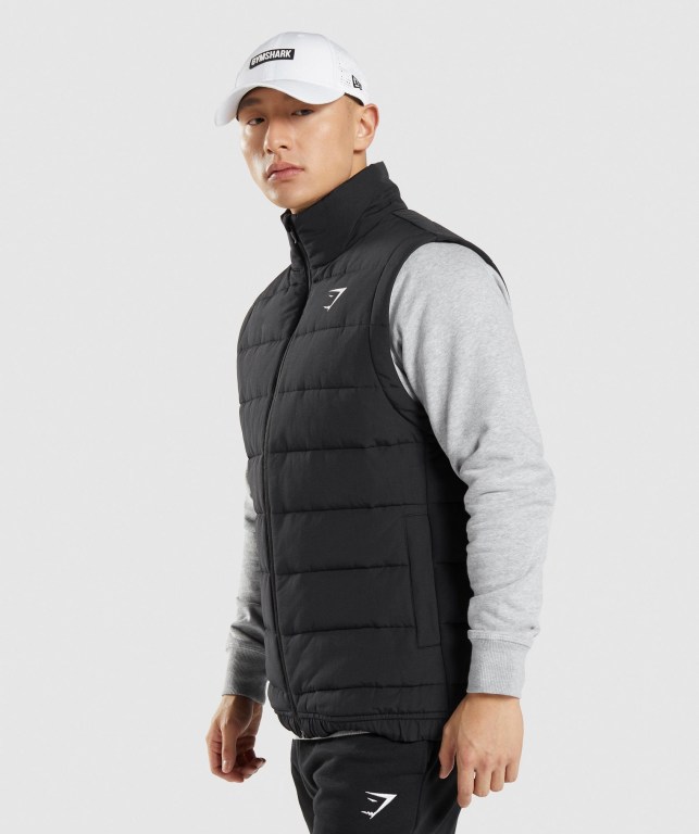 Gymshark Crest Puffer Vest Ceket Erkek Siyah | 013-ESDHQR