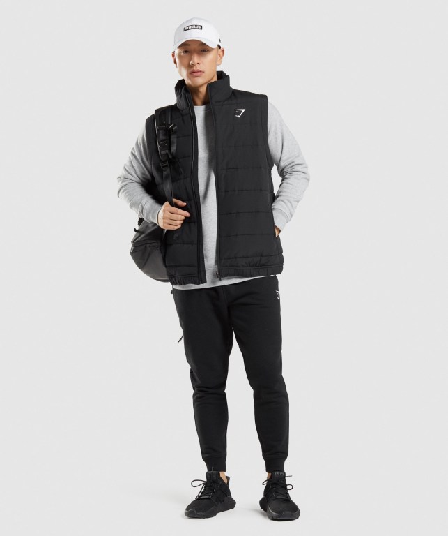 Gymshark Crest Puffer Vest Ceket Erkek Siyah | 013-ESDHQR