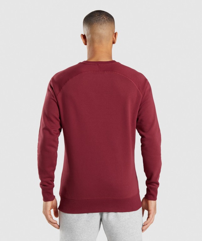 Gymshark Crest Sweatshirt Kapüşonlu Sweatshirt Erkek Bordo Kırmızı | 796-CJFVMD