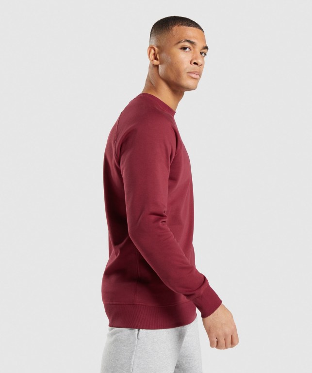 Gymshark Crest Sweatshirt Kapüşonlu Sweatshirt Erkek Bordo Kırmızı | 796-CJFVMD