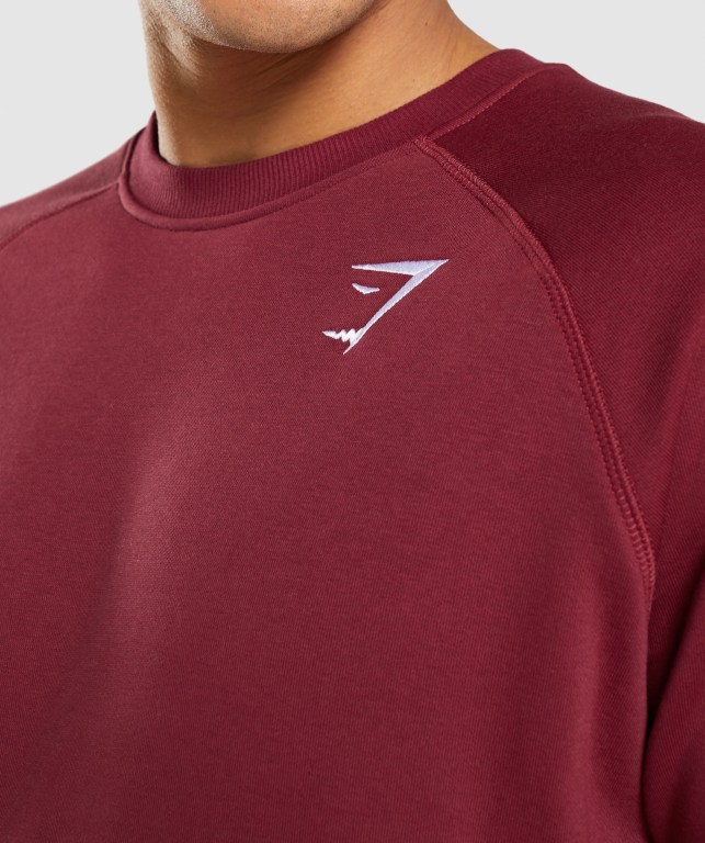 Gymshark Crest Sweatshirt Kapüşonlu Sweatshirt Erkek Bordo Kırmızı | 796-CJFVMD