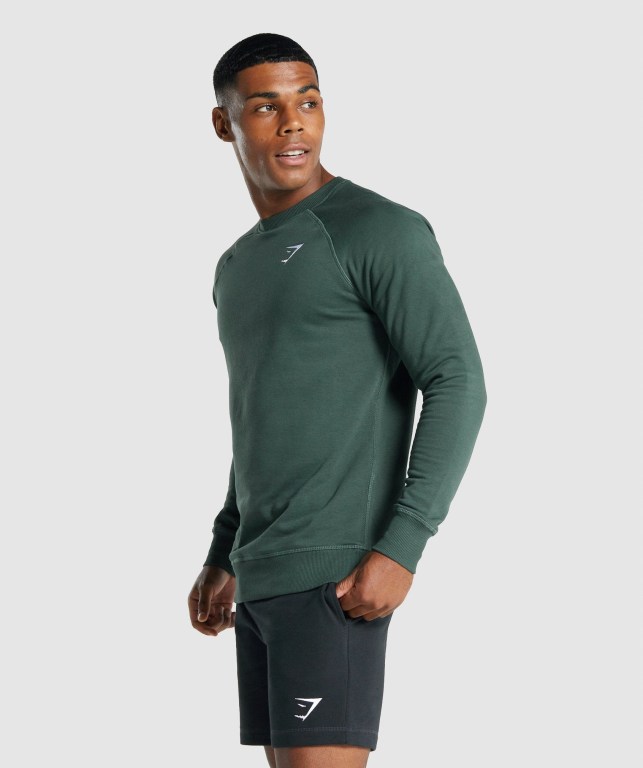 Gymshark Crest Sweatshirt Kapüşonlu Sweatshirt Erkek Koyu Yeşil | 820-PSRNYX